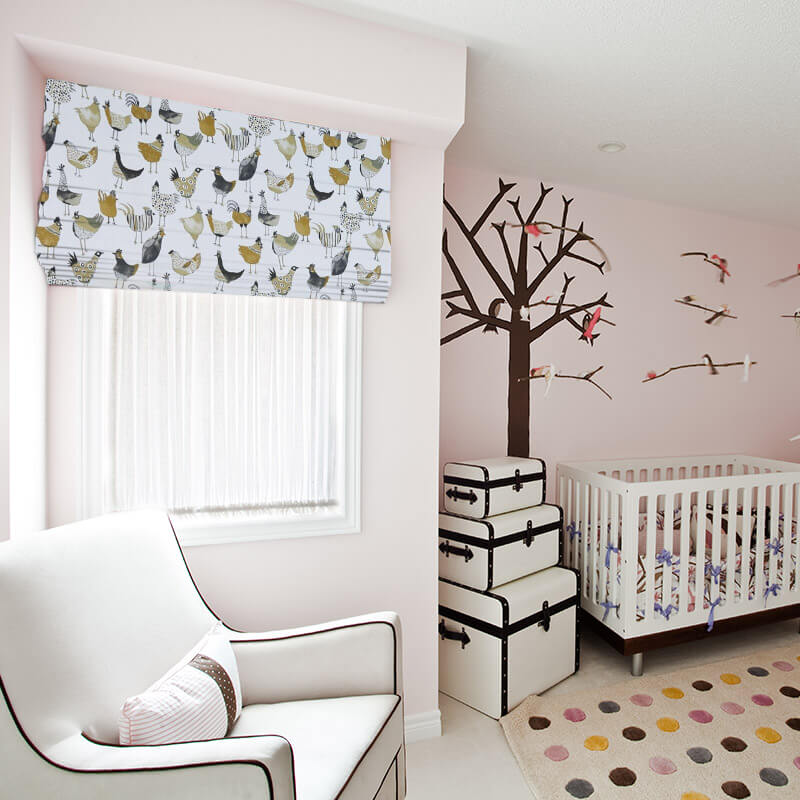 roman blinds coup graphite