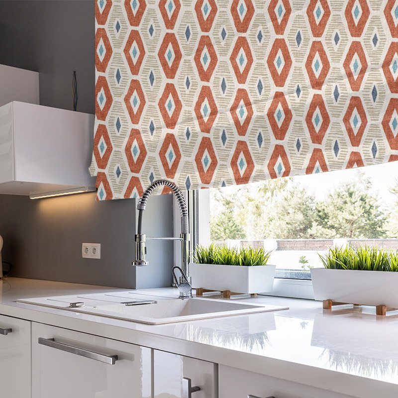 roman blinds explore coral reef