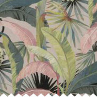 Clip La Palma Hollywood