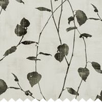 Clip Linfield Charcoal