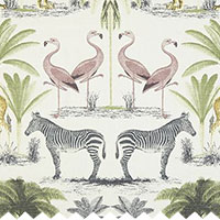 Clip Zoology Everglade