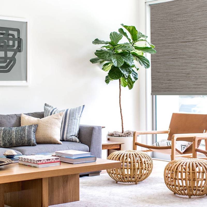 curtain design chatsworth portabello