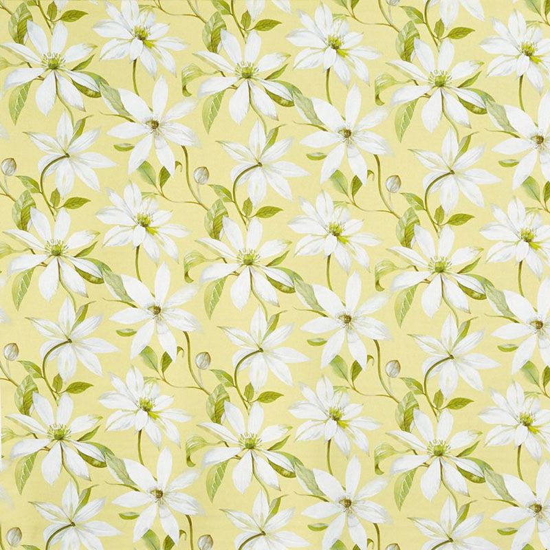 types of blinds emily primrose