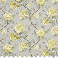 Clip Hydrangea Willow