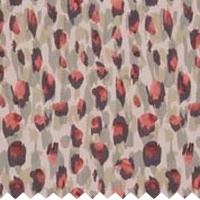 clip Kenji watermelon